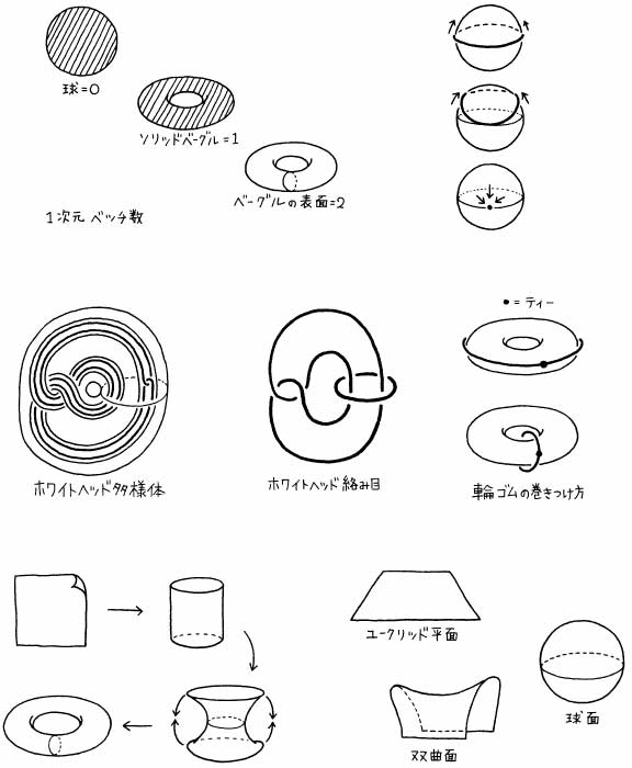 『ポアンカレ予想』（早川書房）挿絵　2007年