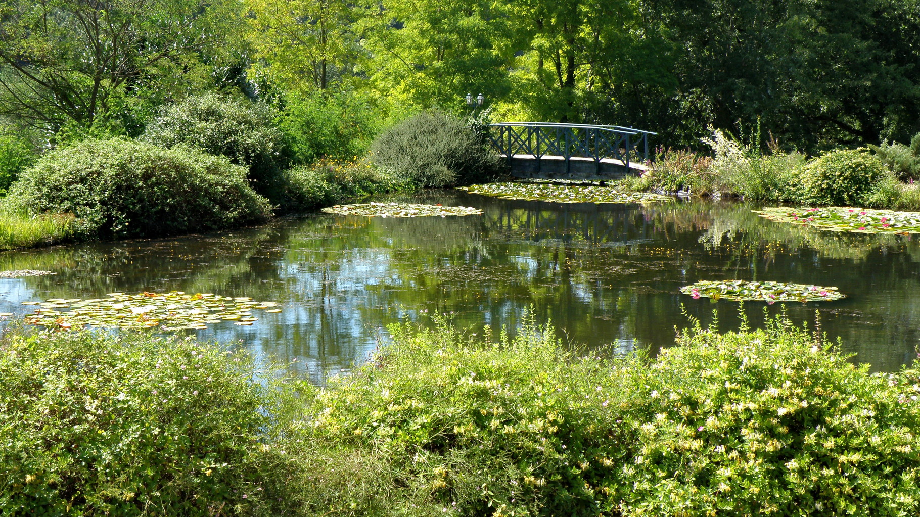 Les Jardins d'eau de Carsac-Aillac - vue 1