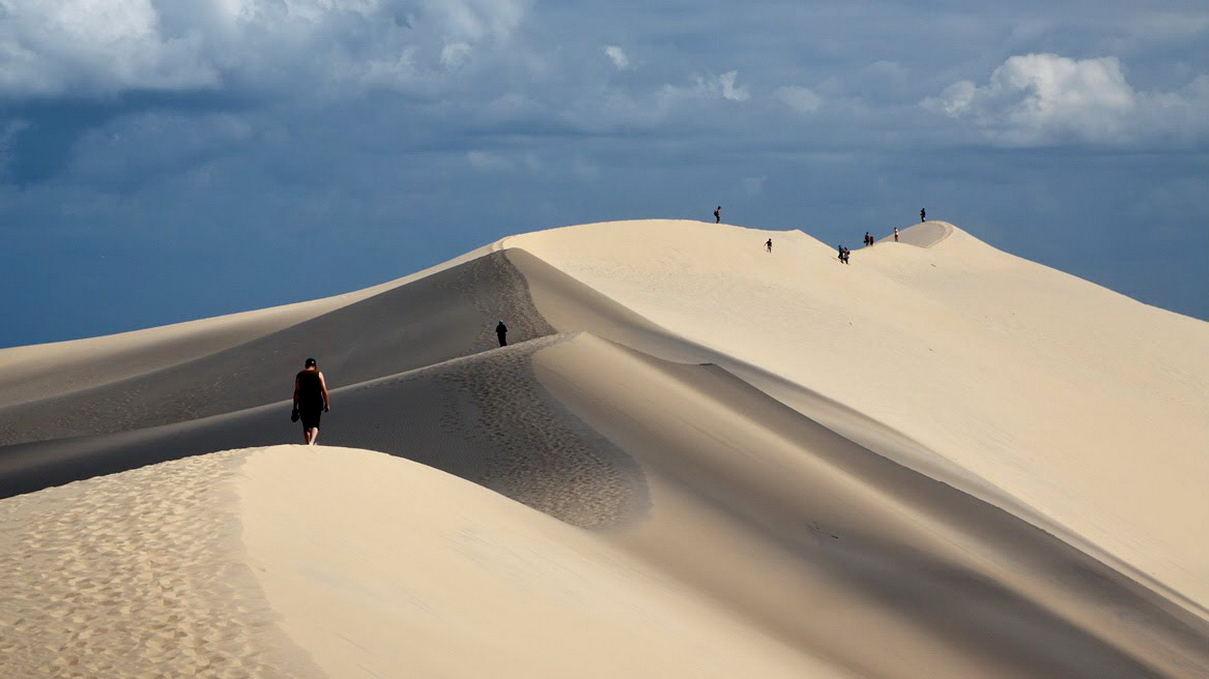 La dune du Pyla - sur la crête