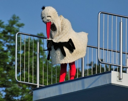 Klappi Storch auf dem 10m Sprungturm