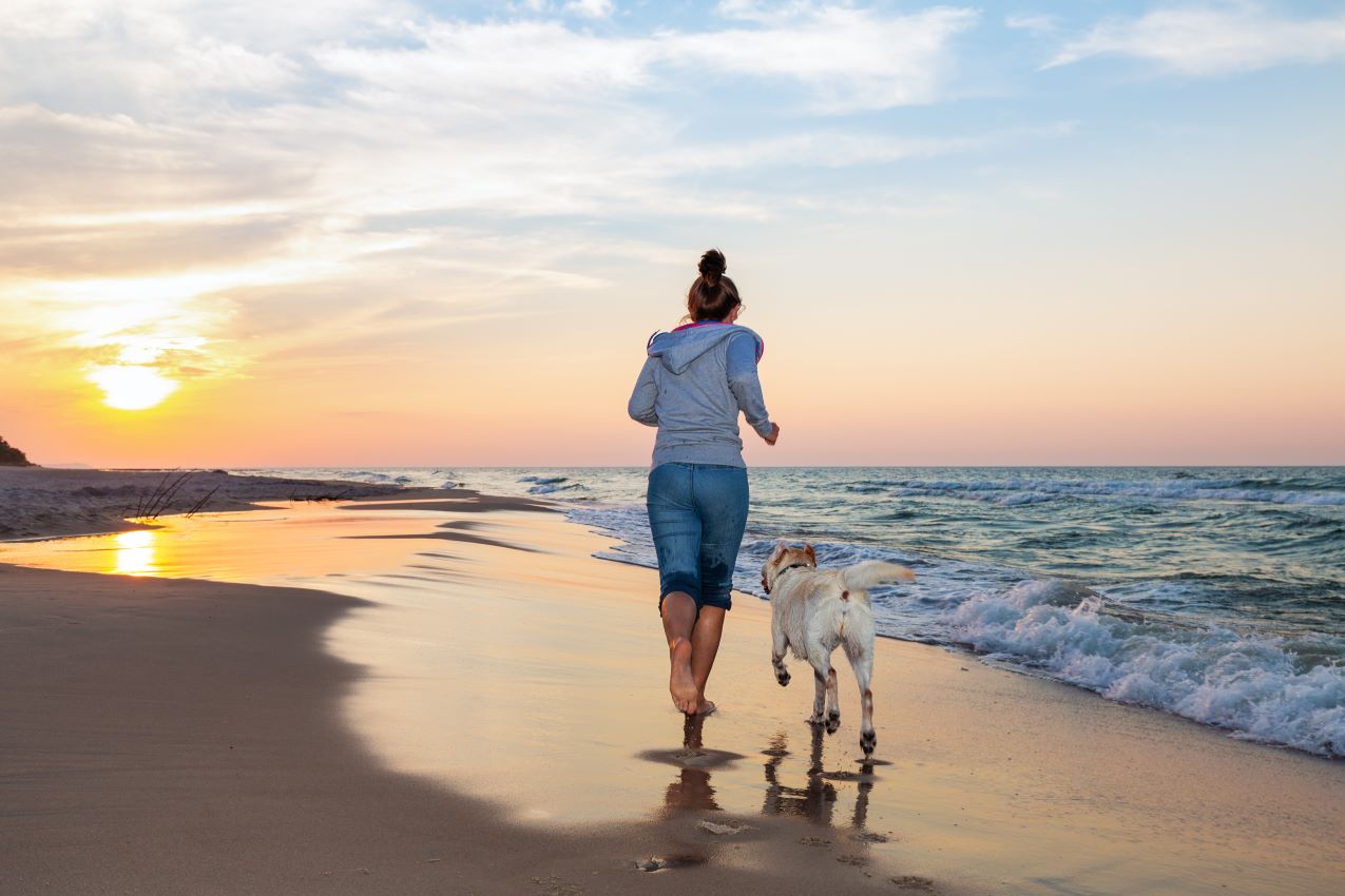 Urlaub mit Hund und Katze