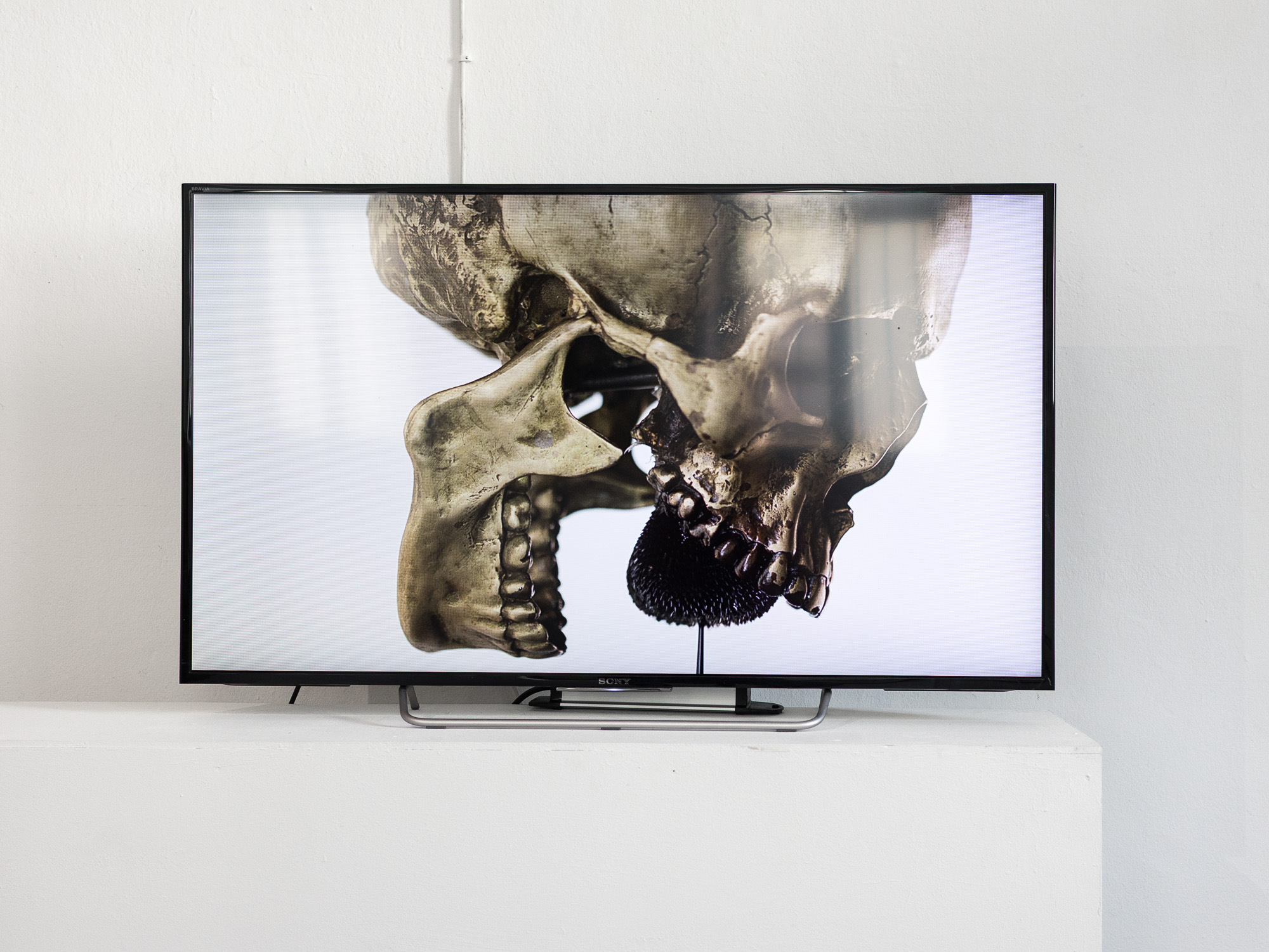 Eric Mesplé, Killing Time, Video