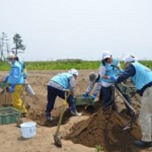 活動中の様子