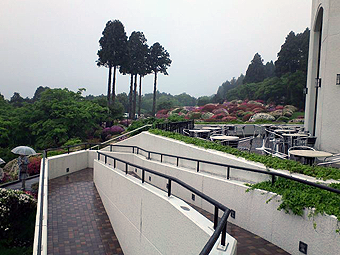 小田急山のホテル