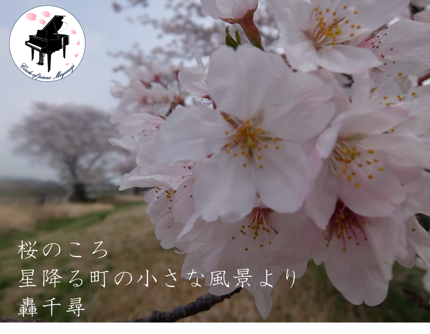 桜のころ　
