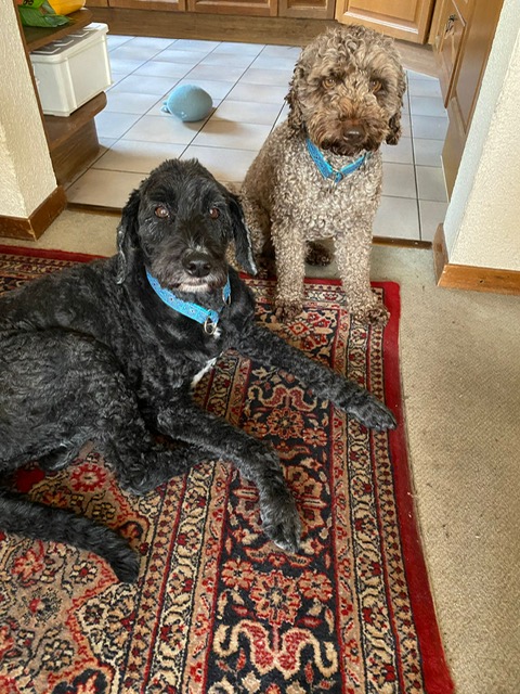 Nora & Paco im Partnerlook