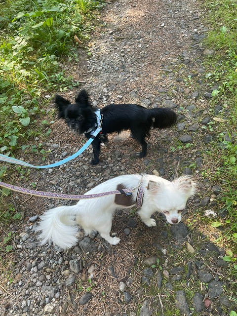Miro & Bonnie