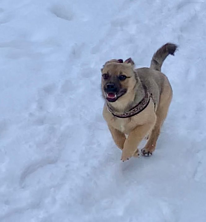 Mia