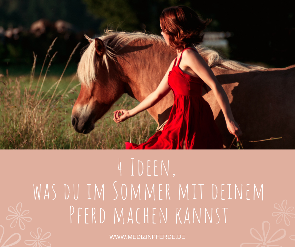 4 Ideen, was du im Sommer mit deinem Pferd machen kannst