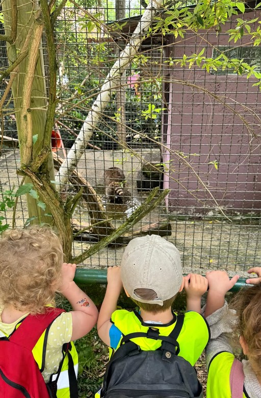 Ein Wind zog durch den Waldzoo