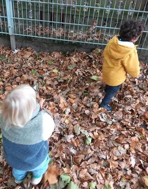 Die Pinguine freuen sich auf den Herbst