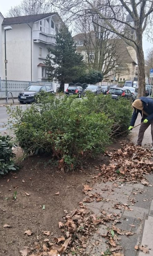 Blumen im Garten, so zwanzig Arten…