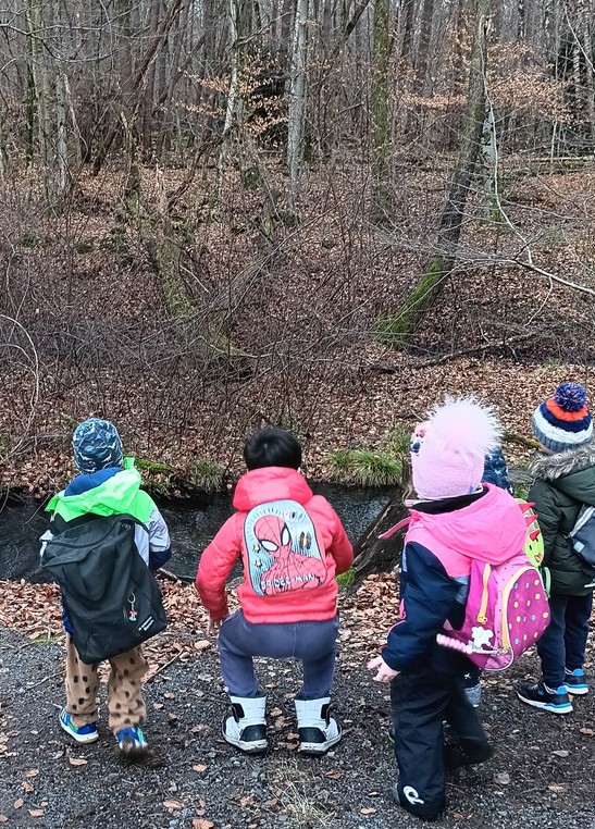 Gummistiefel an und ab in den Wald!