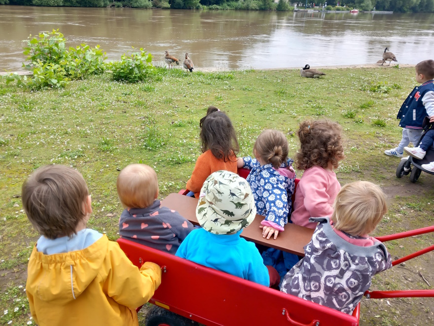 Spaziergang am Main