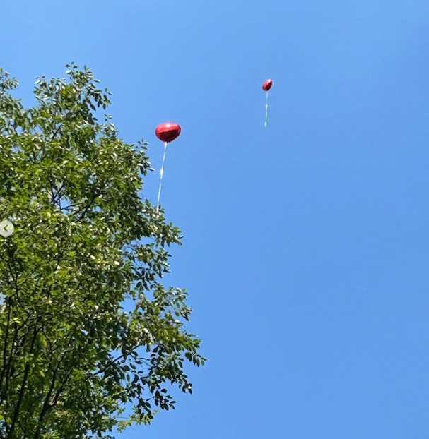 Große Feier in der Villa Zaubernuss!