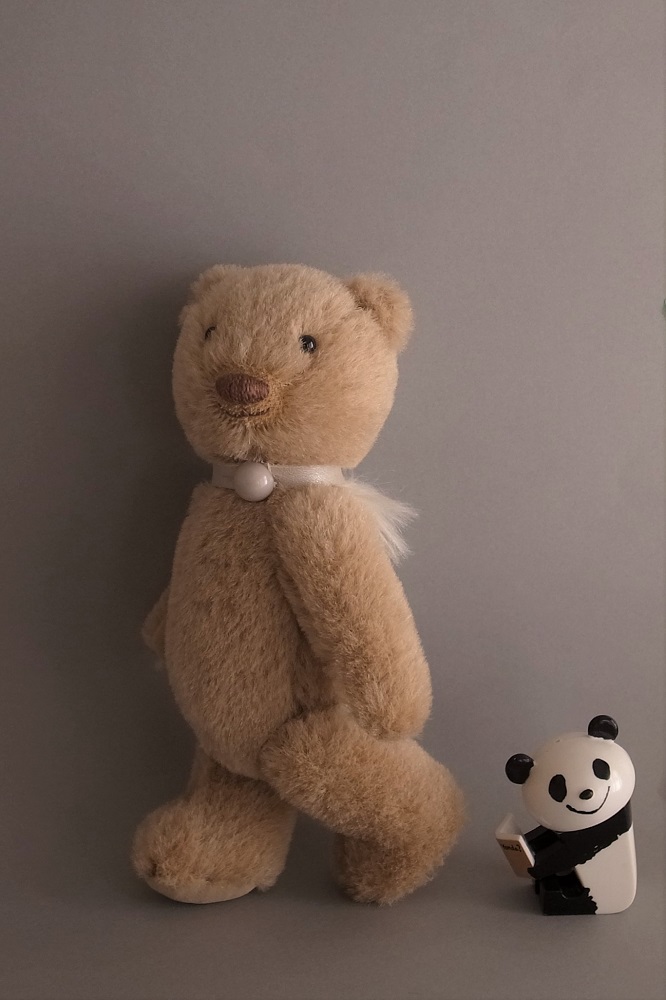 fairysaddle teddybear