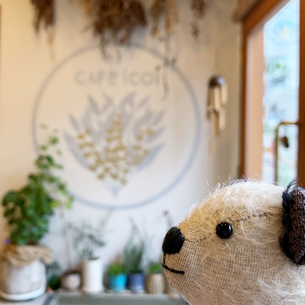 cafe icoi さんにきたよ