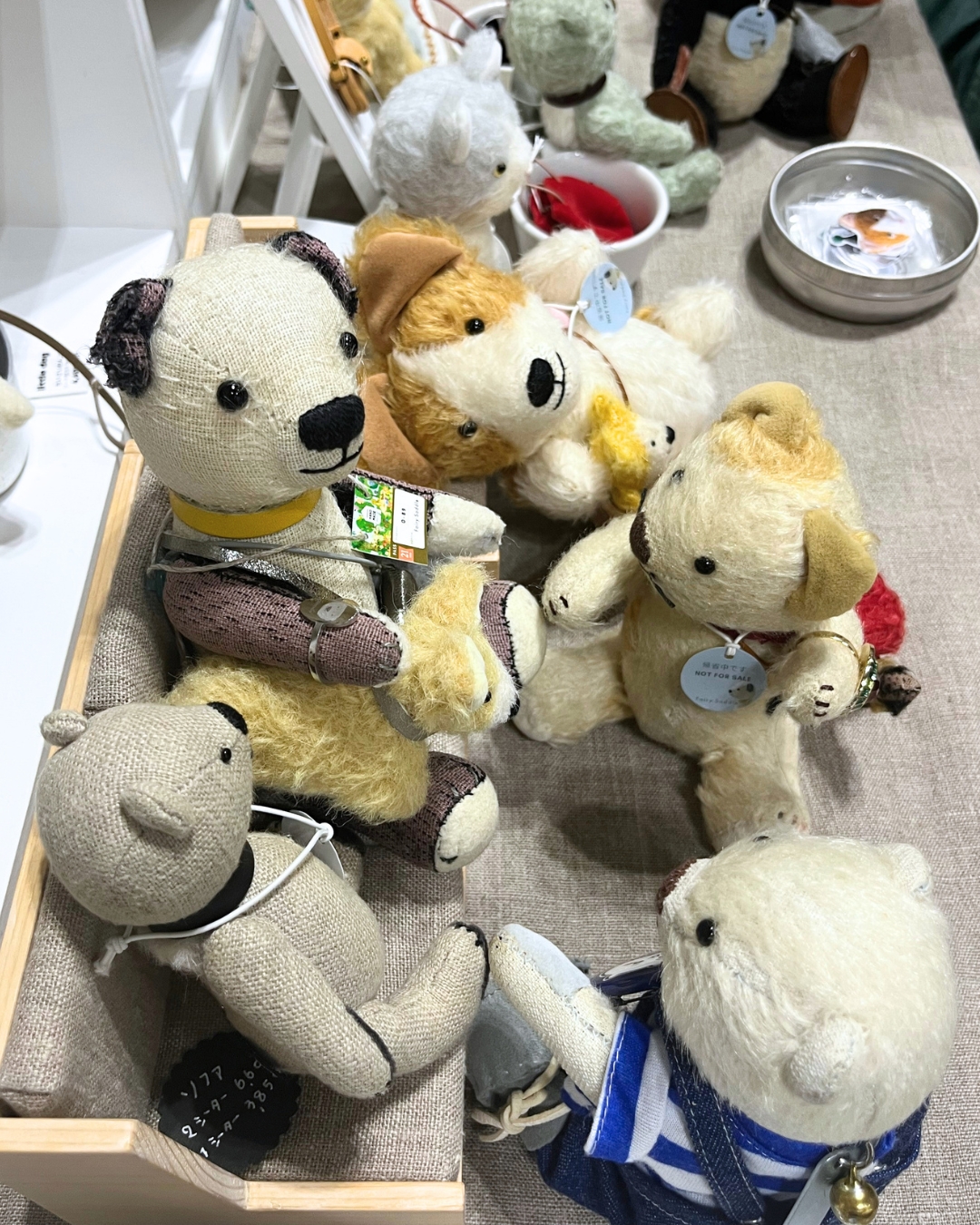 ふくちゃんのリングすてきだね
