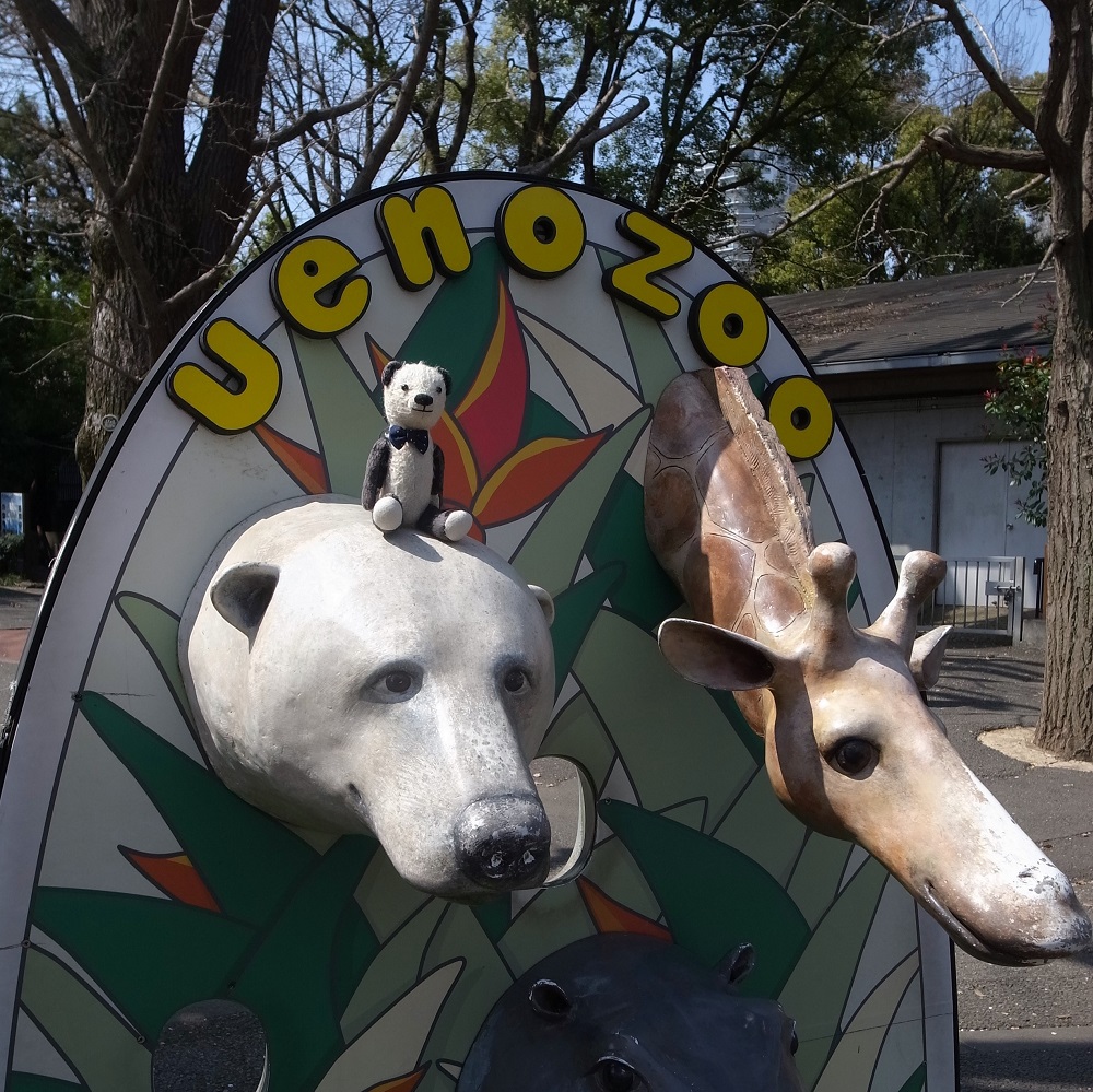 動物園の
