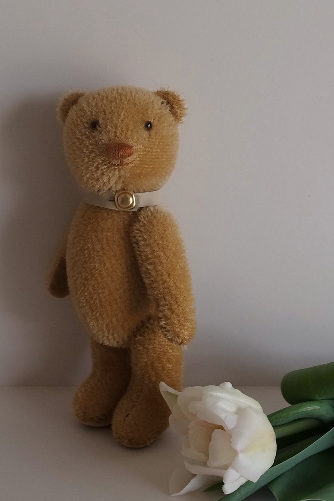 fairysaddle teddybear