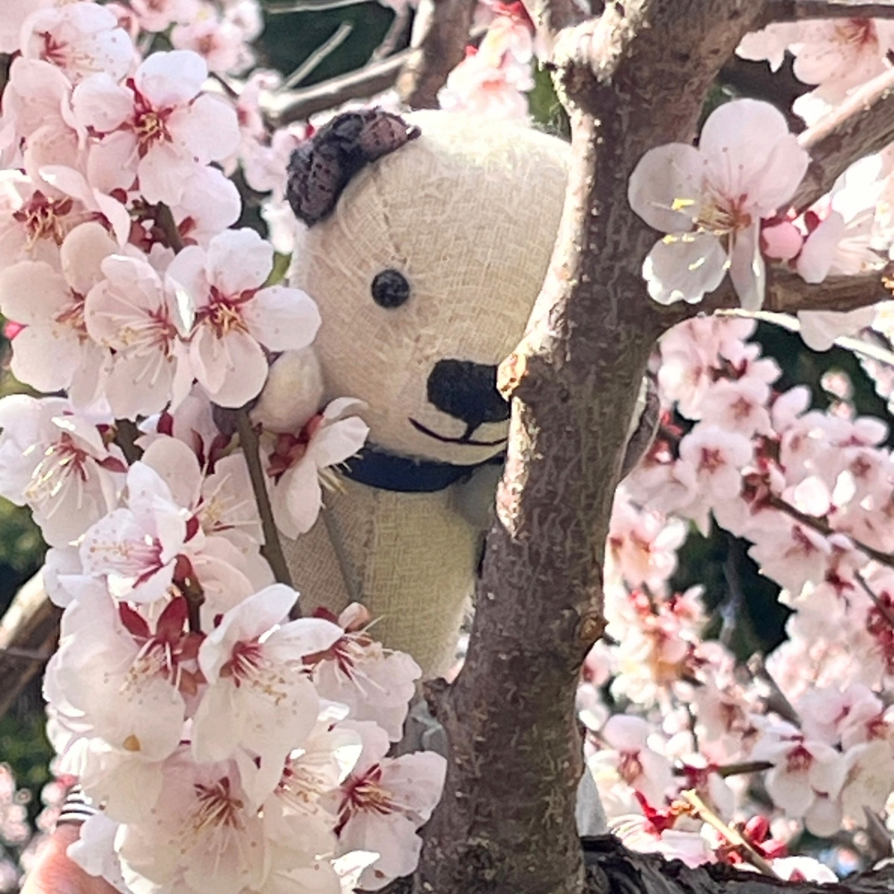 ピンクが濃くてかわいい
