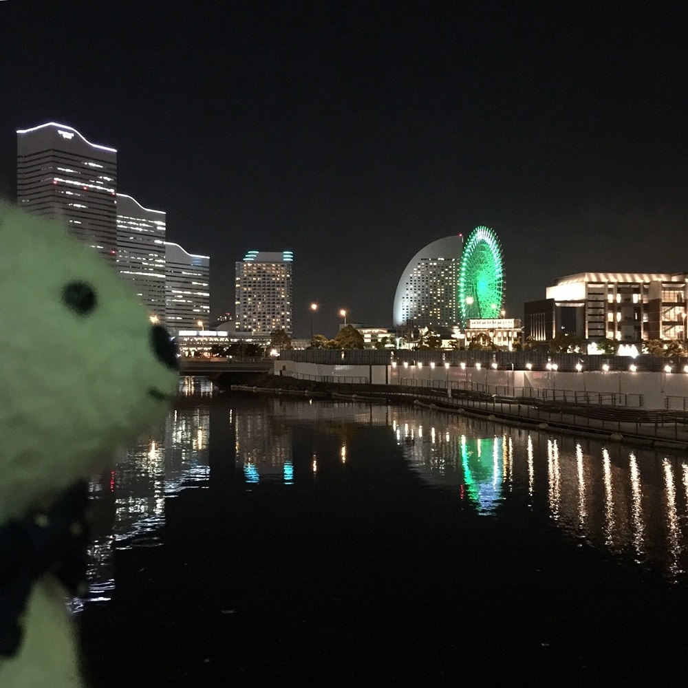 夜景もきれいだよ