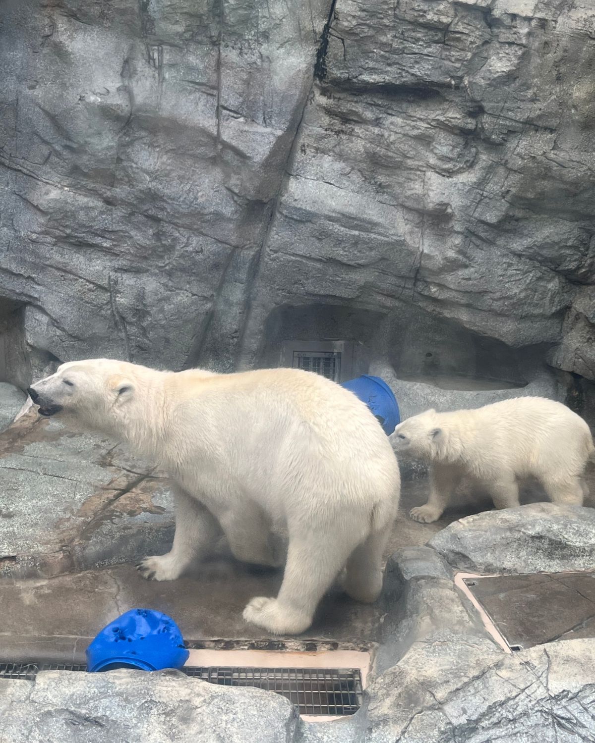 男鹿水族館GAO