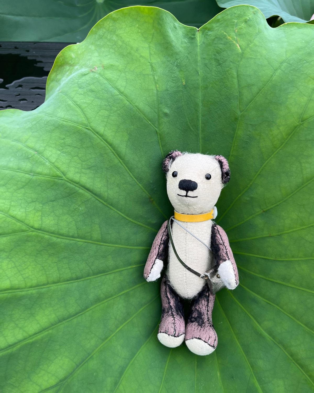 のってみたよ