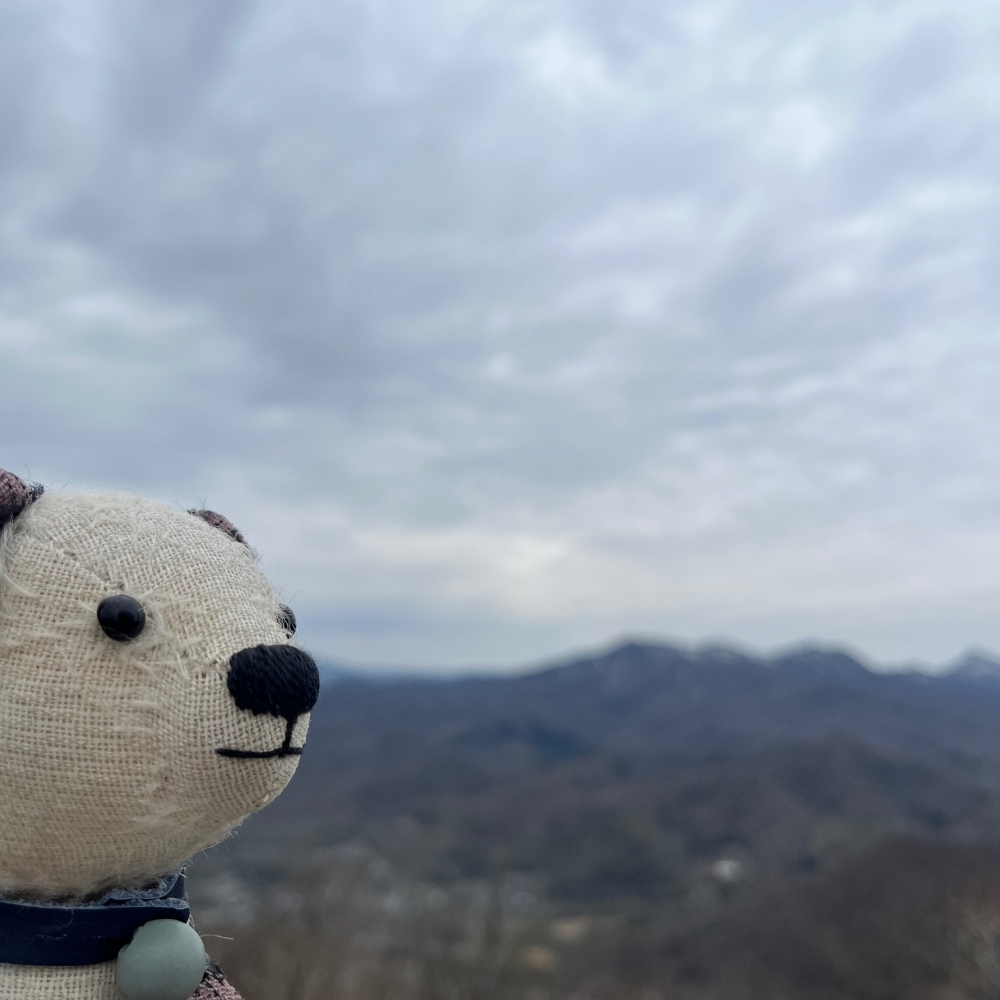 曇っていたけど景色はすばらしい