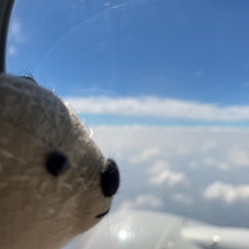 雲のうえ空の旅