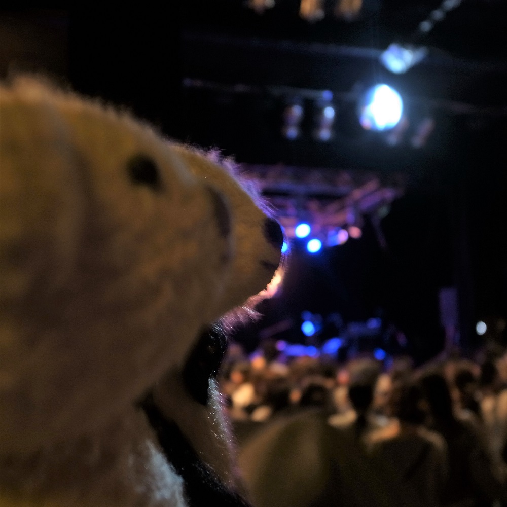 ライブハウスってくらいね