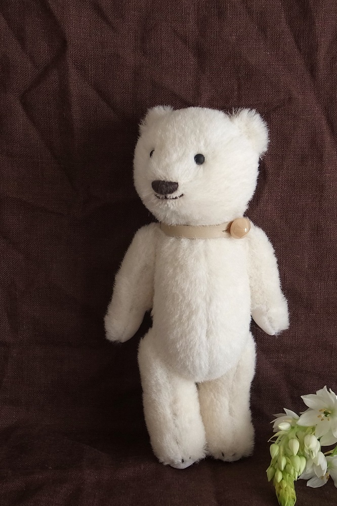 fairysaddle teddybear