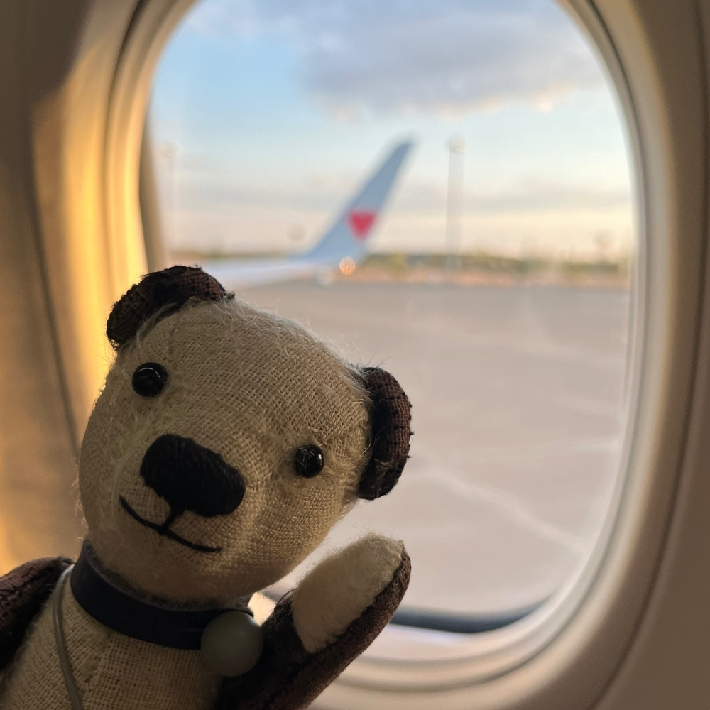 ハートの飛行機で帰ります