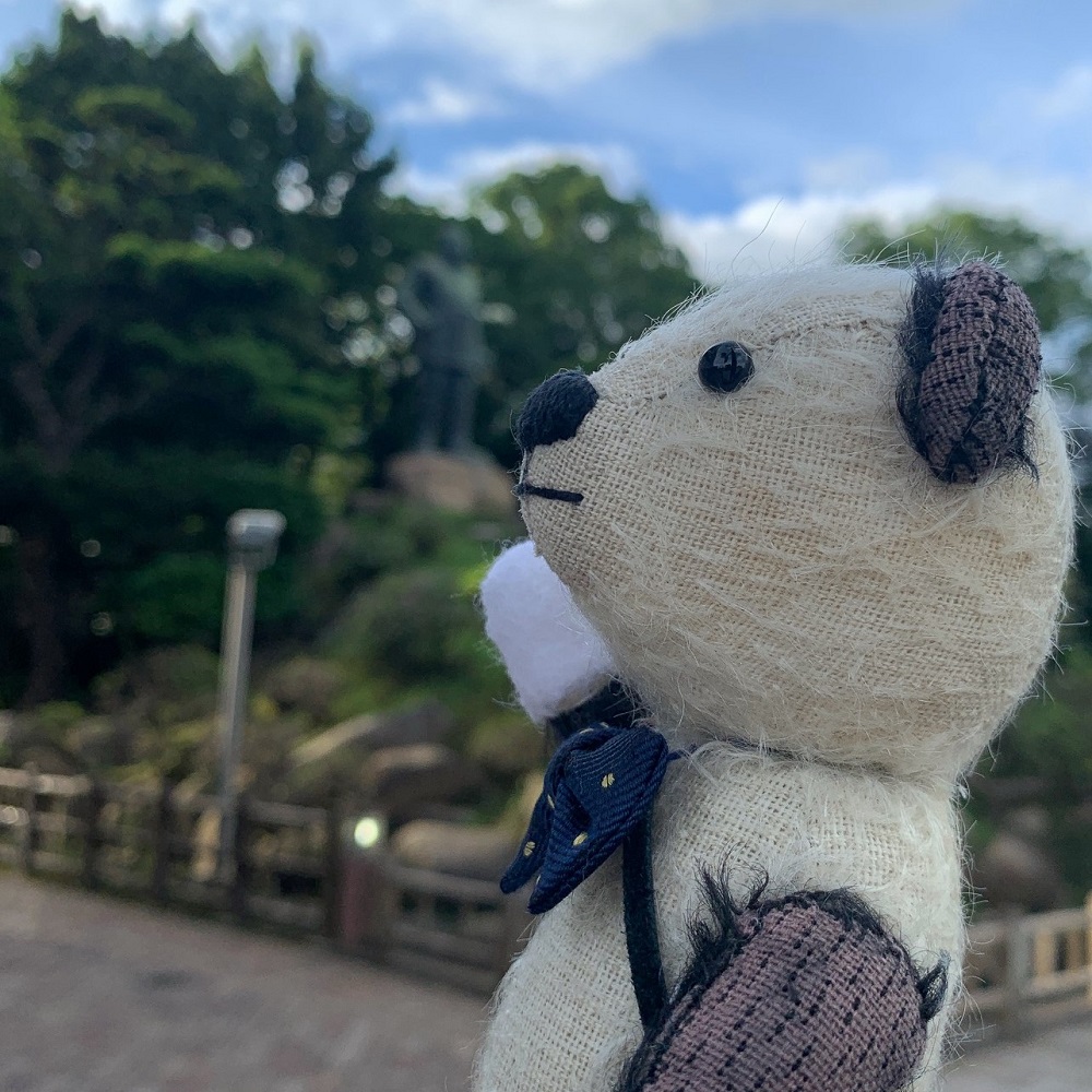 西郷さんこんにちは！