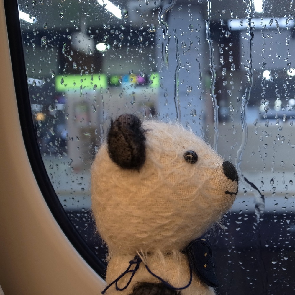 台風だったね
