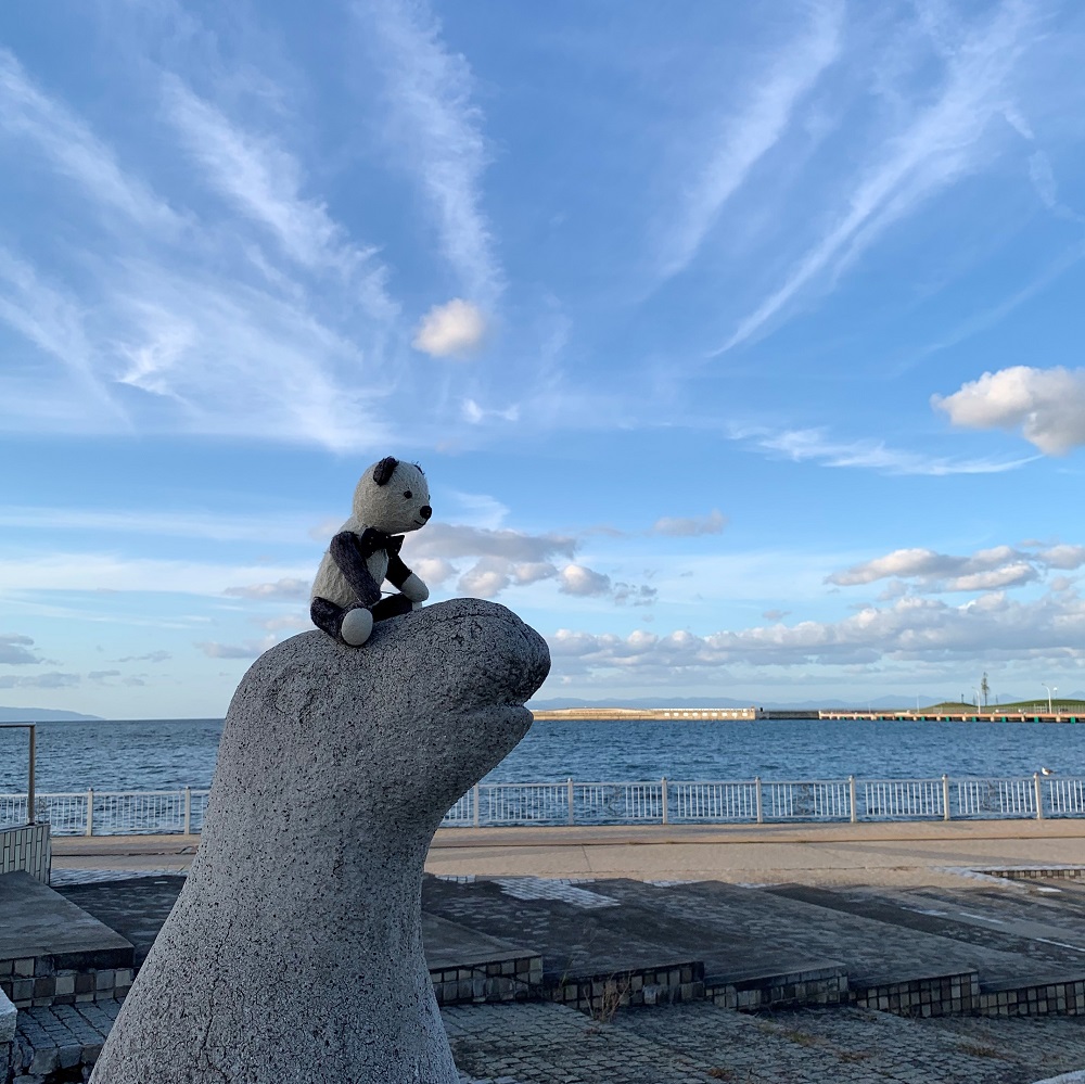 青い海公園のアザラシさん