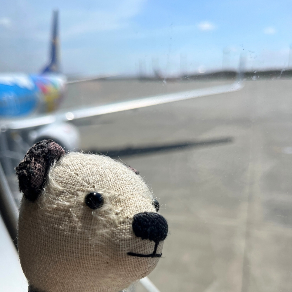 ピカチュウジェットで出発！