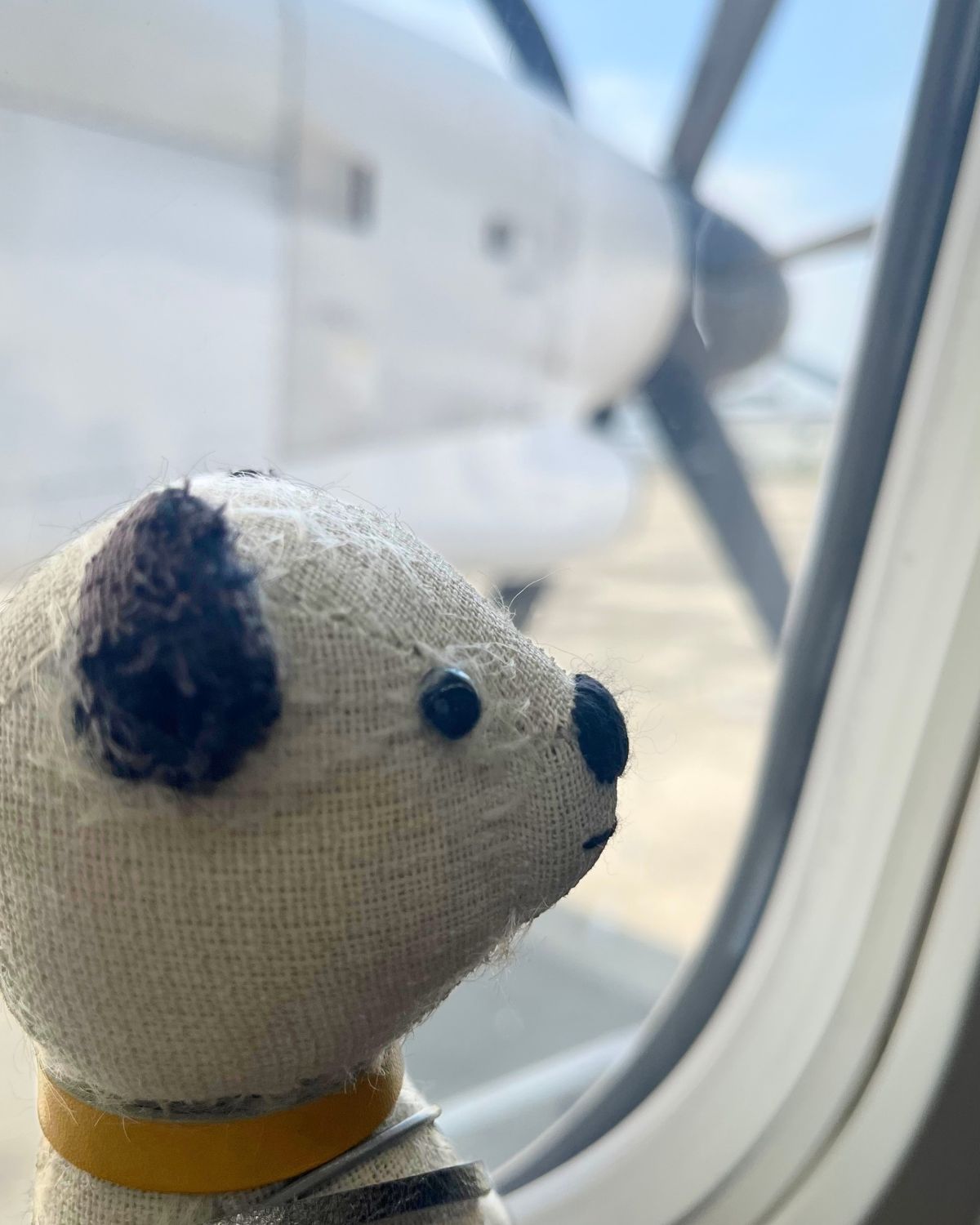 秋田へ！プロペラ機！