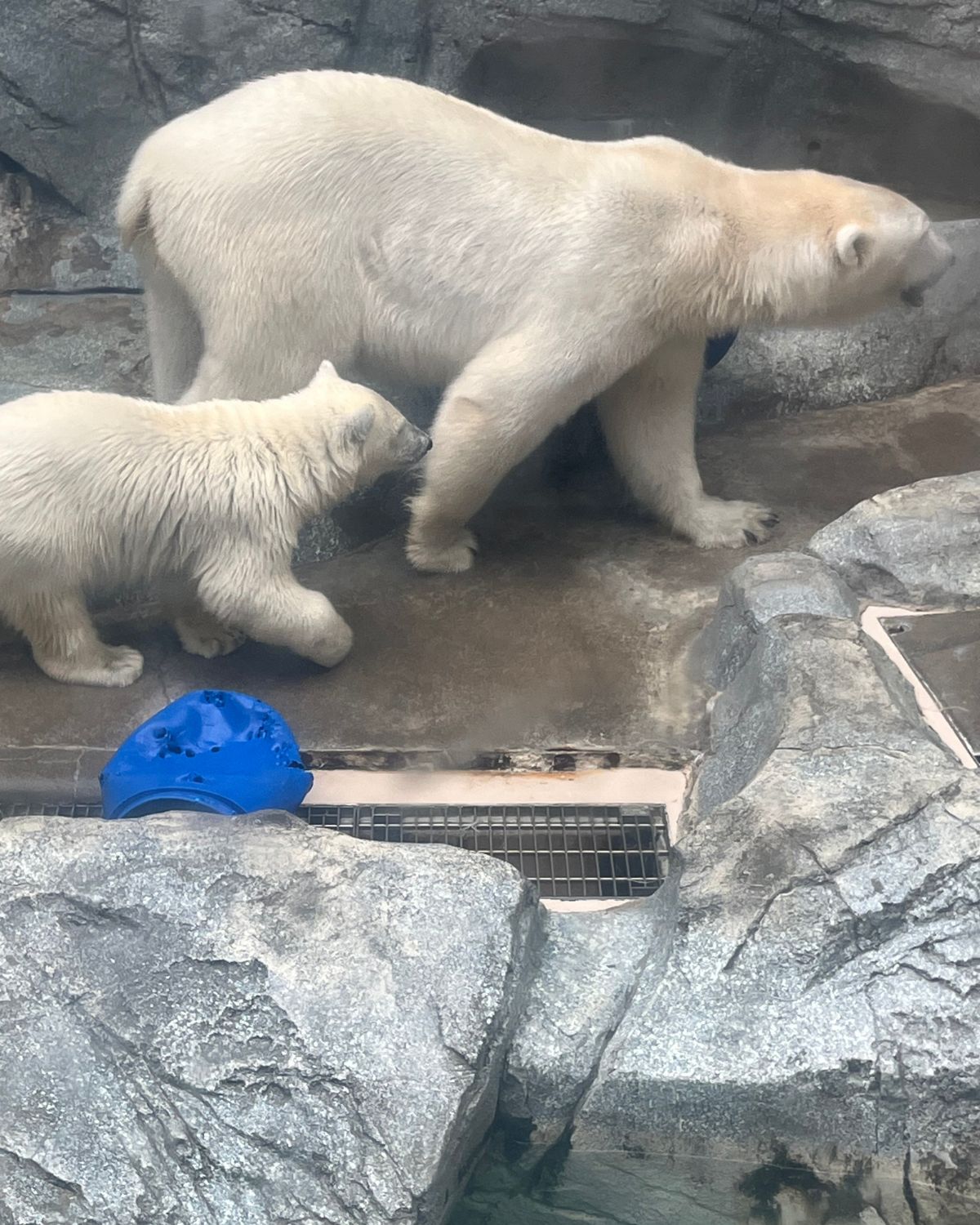 かわいかったーー！！