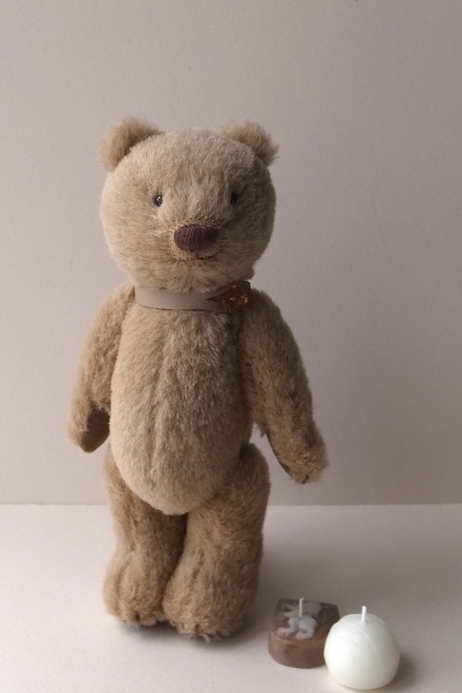 fairysaddle teddybear 528