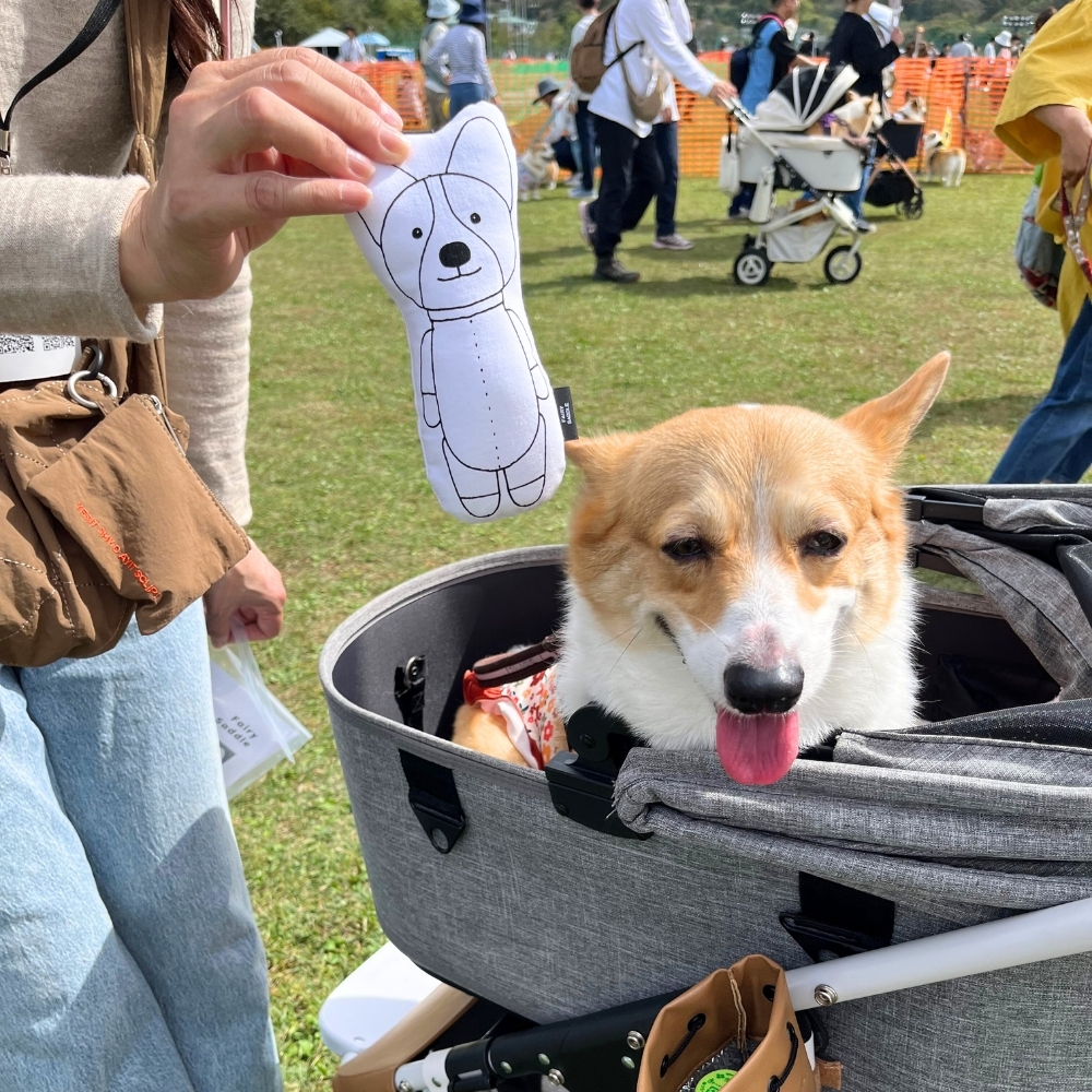 10/12]コーギーフェスティバル2025AW - Fairy Saddle フェアリーサドル
