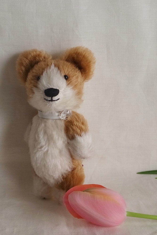 fairysaddle teddybear corgi