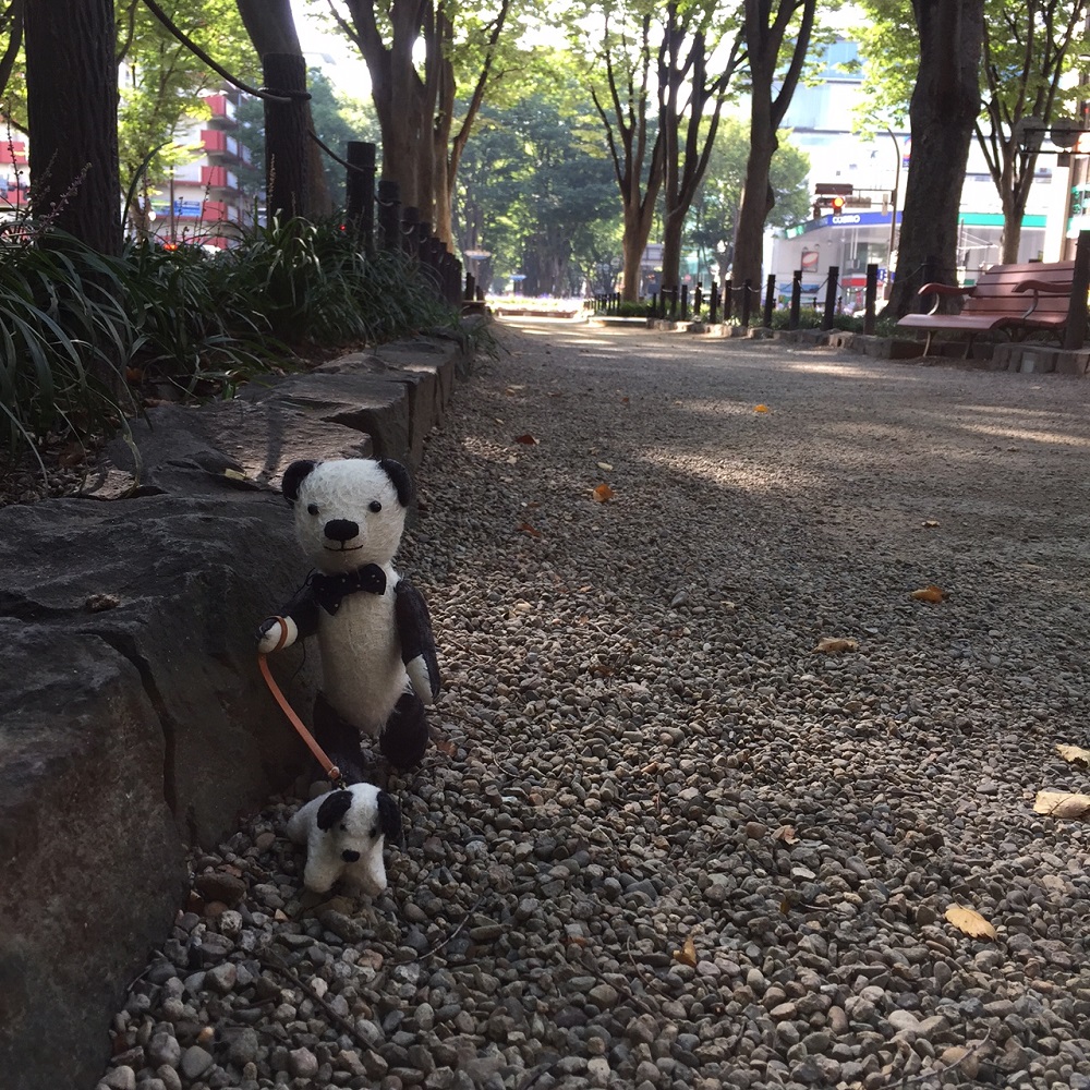 定禅寺通りのケヤキ並木をおさんぽ