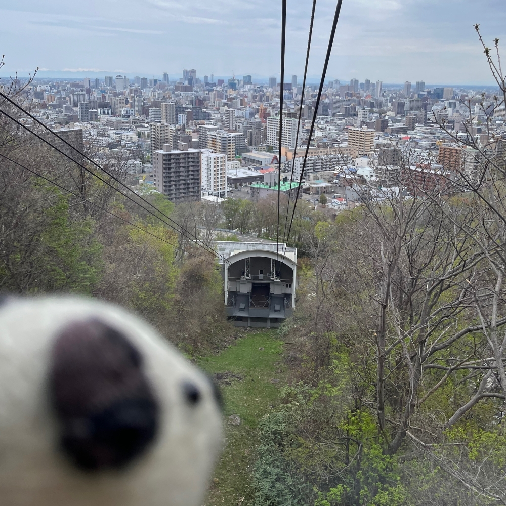 最終日はもいわ山ロープウェイ