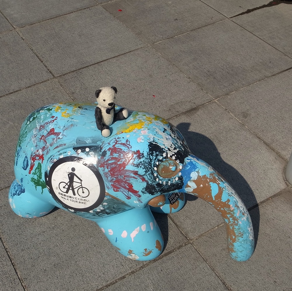 公園にいたゾウさんに乗ってみたよ