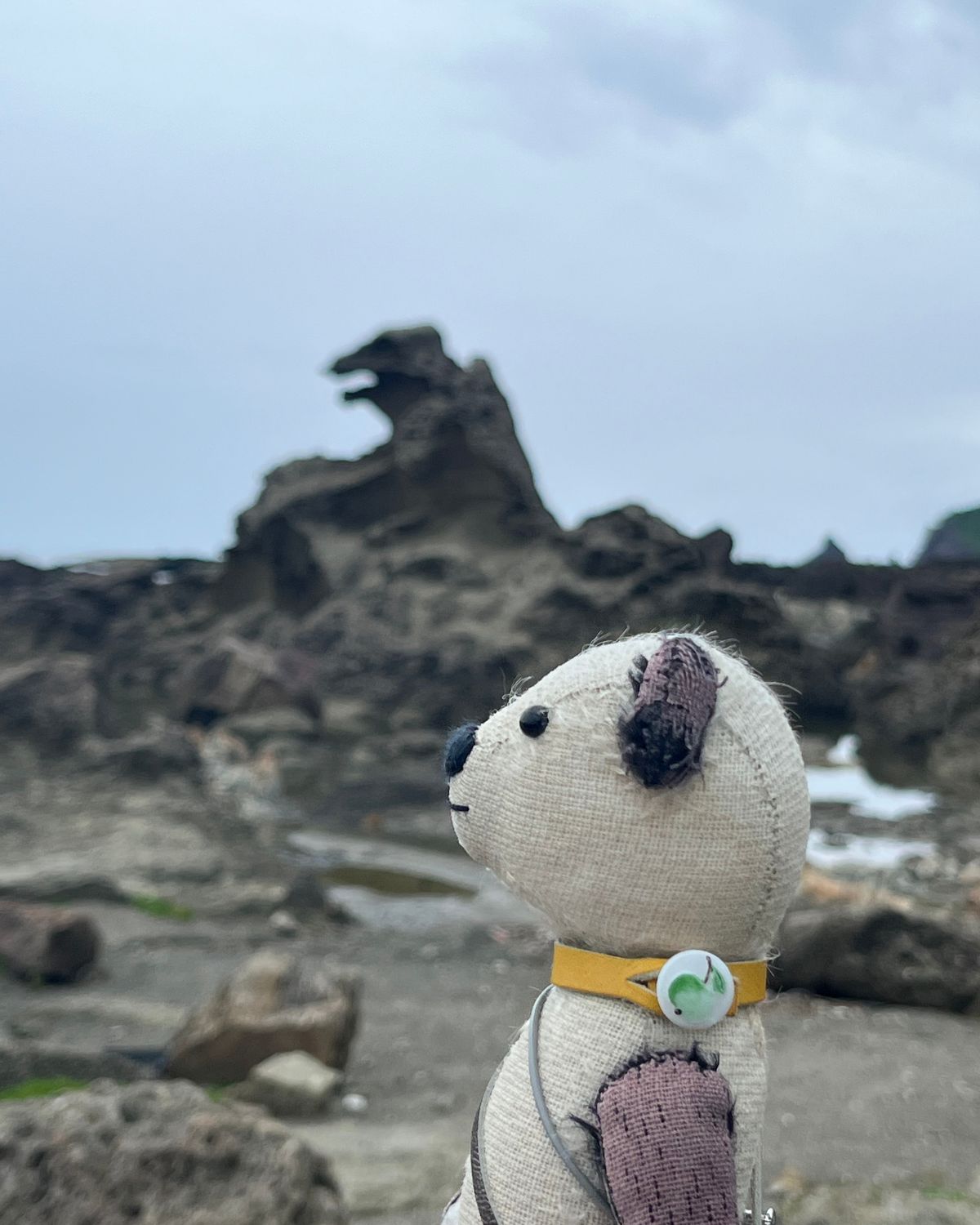 ゴジラ岩！ほんとにゴジラ！