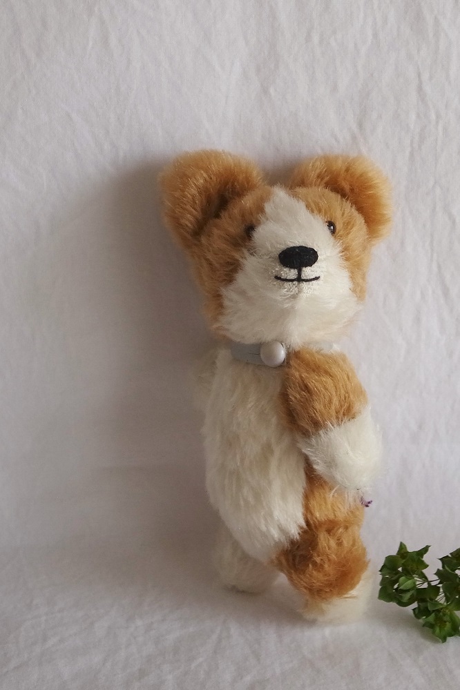 fairysaddle teddybear