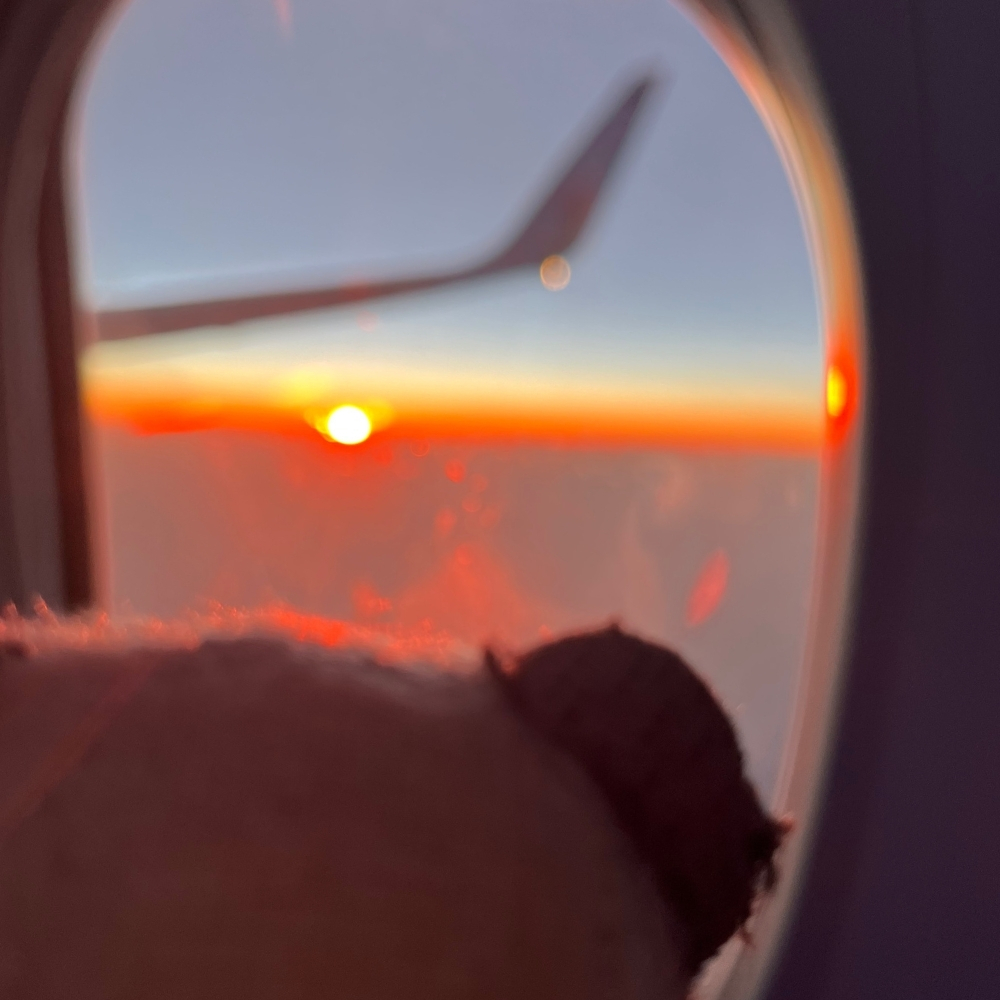 窓から夕焼け