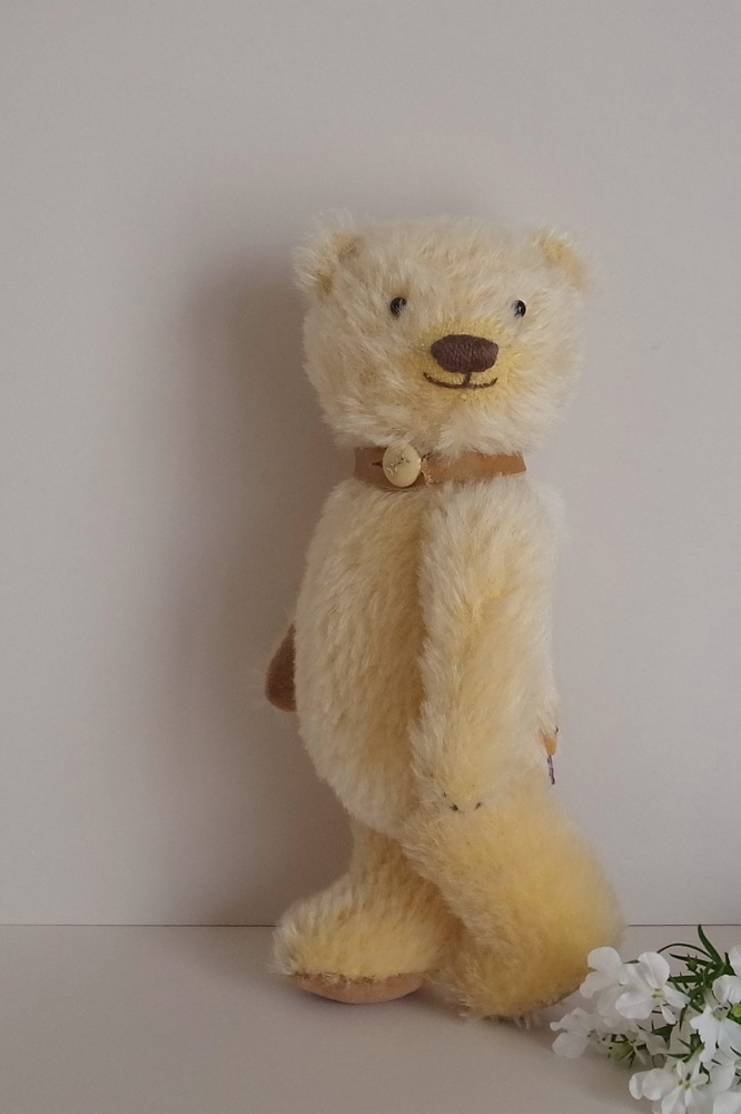 fairysaddle teddybear