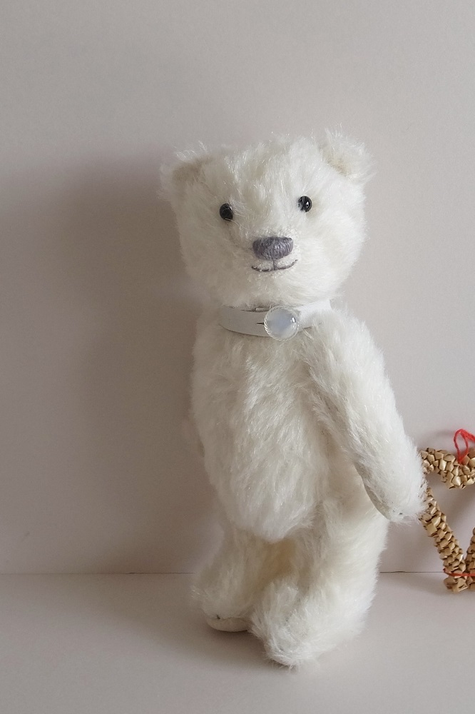 fairysaddle bear